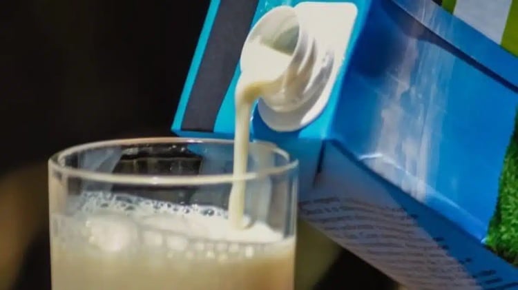 Hodna Lait la mégaferme laitière qui transforme l’Algérie