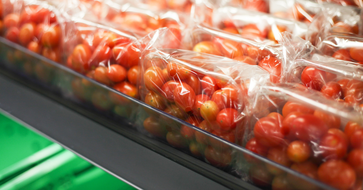 Les surprenantes fluctuations du prix de la tomate en Algérie