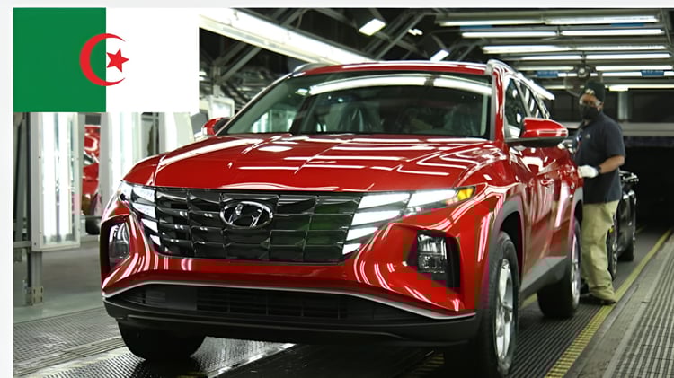 Hyundai Algérie : 4 nouveaux modèles à ne pas manquer