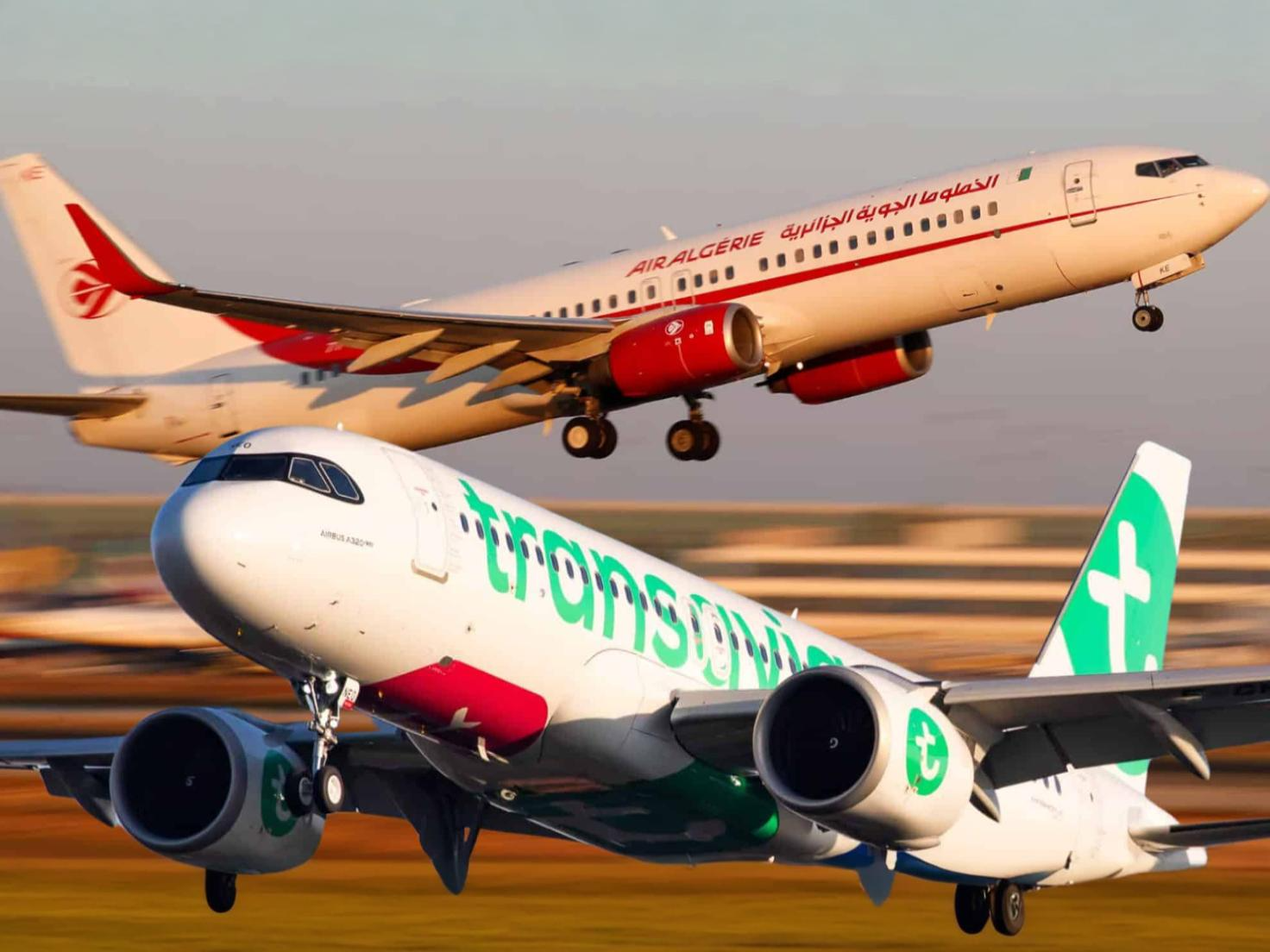 Vols France-Algérie dès 39€ : l’offre Transavia à saisir