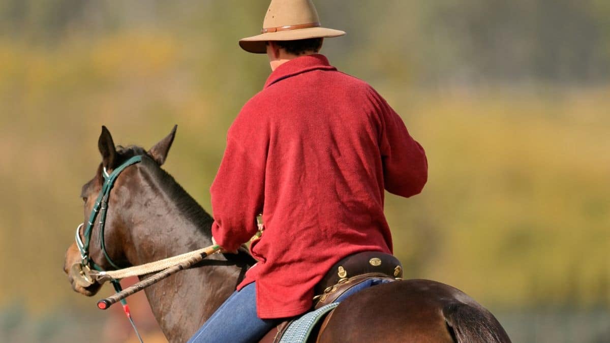 À cheval vers l'Algérie : l'incroyable défi de Mohamed Bourhis