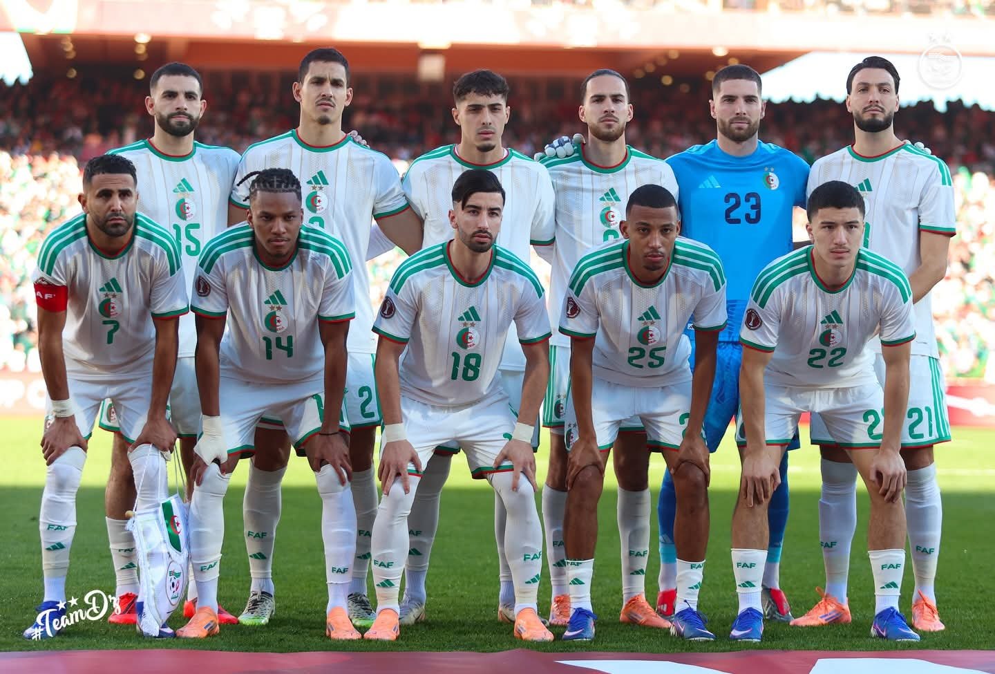 Algérie : sa spectaculaire remontée au classement FIFA