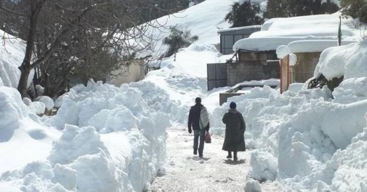 Neige en Algérie : les premières chutes de la saison