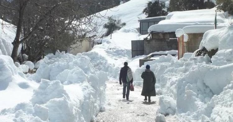 Neige en Algérie : les premières chutes de la saison
