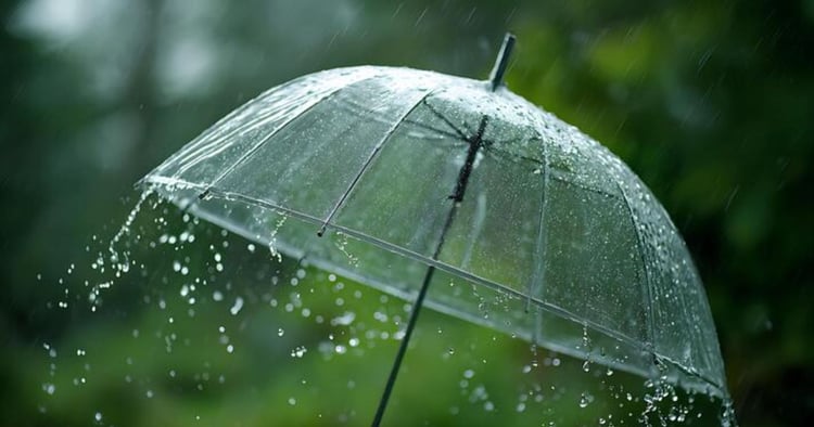 Météo en Algérie : fortes pluies attendues ce week-end