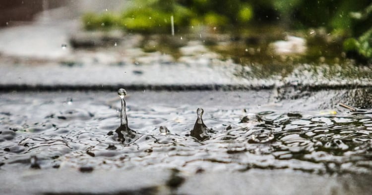 Pluie en Algérie : Les régions qui seront plus touchées ?