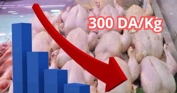 Poulets