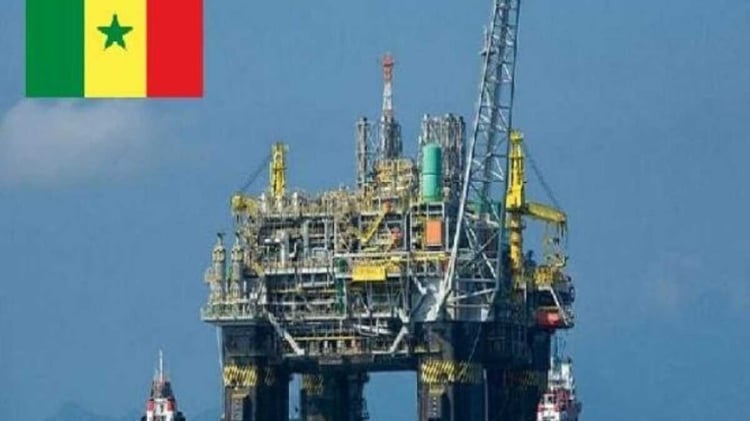 Découvrez pourquoi l'Algérie forme les experts pétroliers sénégalais