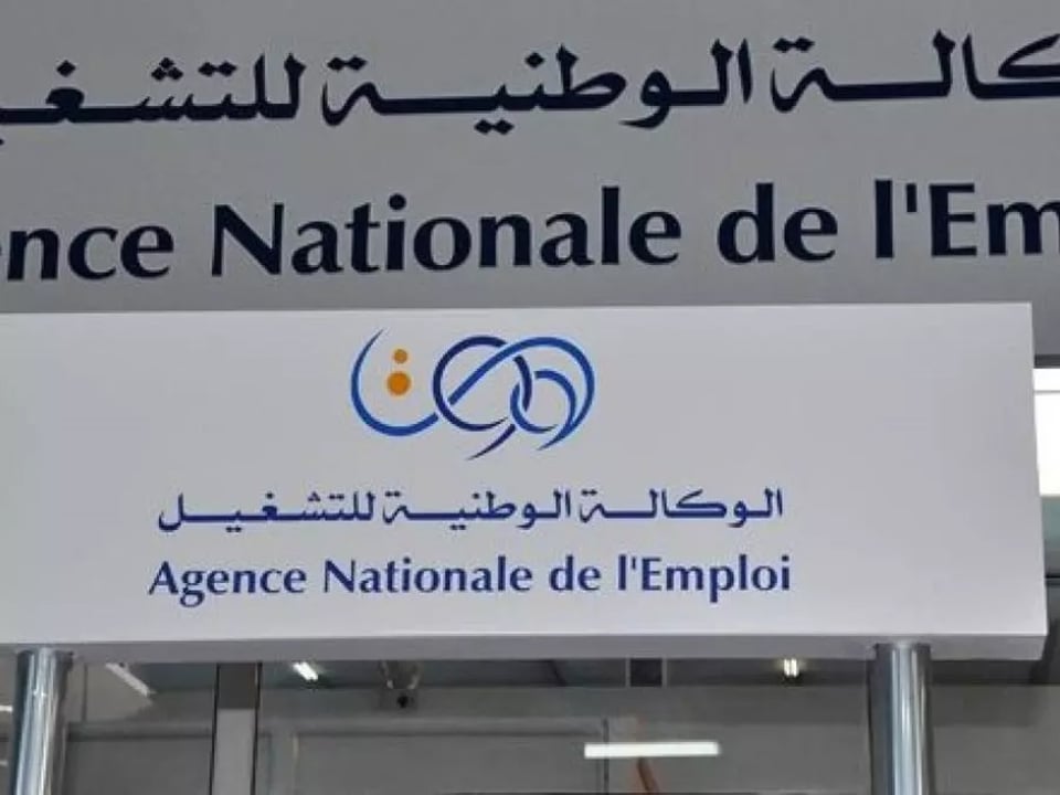 la plateforme « Minha » 