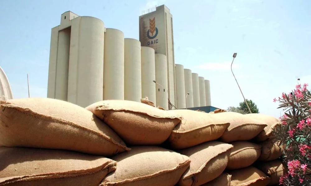 Pourquoi l’Algérie achète massivement du blé dur ?