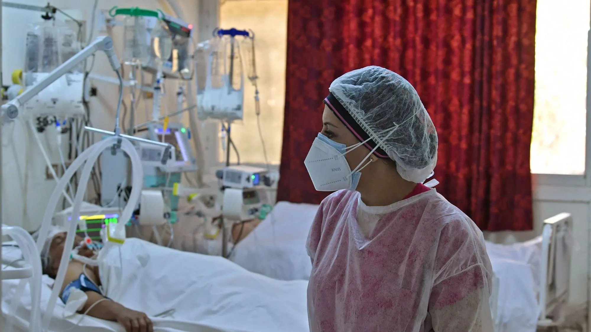 Percée mondiale en immunologie : un hôpital algérien brille