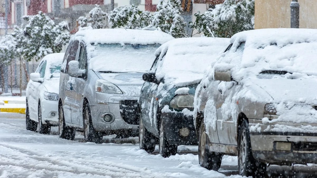 Routes bloquées : découvre les régions d'Algérie sous la neige !