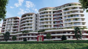 Alger : les mystères d'un projet immobilier fascinant