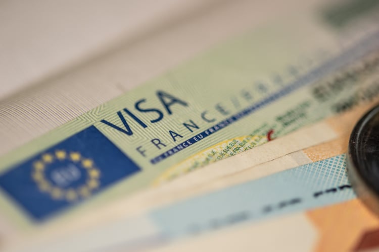 Visa Annulé : Astuces d'un Couple pour Battre le Consulat