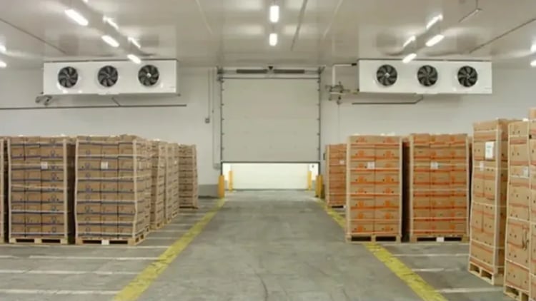 Algérie : crédits gratuits pour chambres froides agricoles