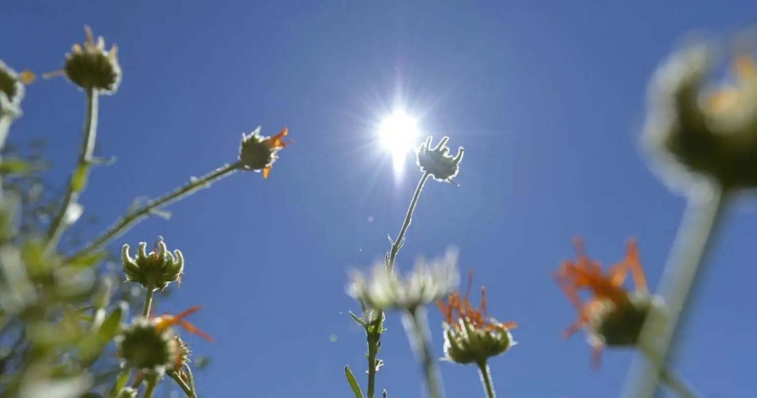 Météo du 7 octobre en Algérie : calme ou orages à venir ?