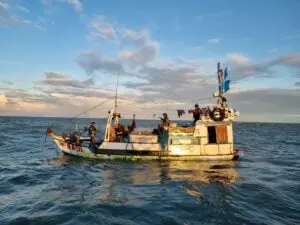 Lutte contre la pêche illégale : l'Algérie à l'honneur