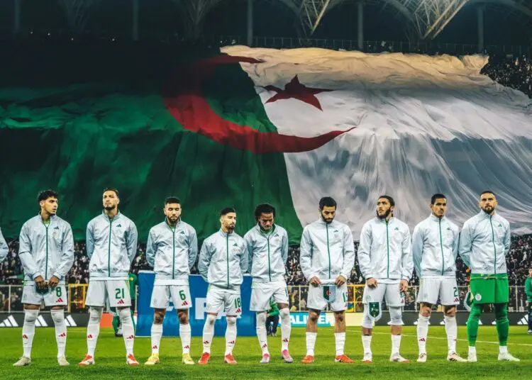 Équipe d’Algérie : la FAF explore les talents binationaux anglais pour bâtir l’avenir