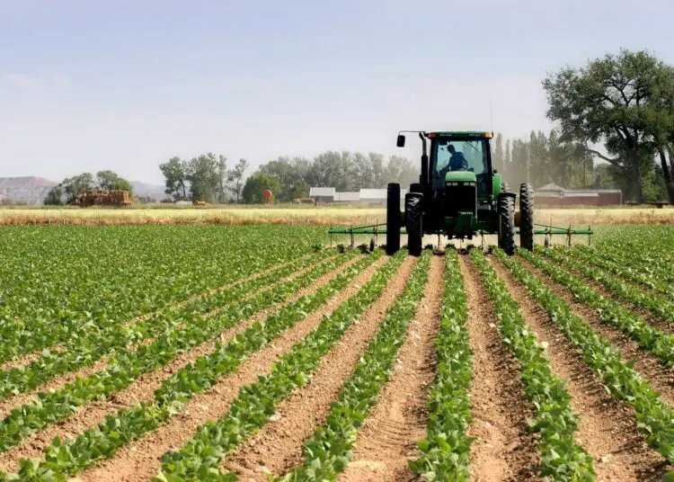 Nouvelle stratégie agricole en Algérie : vers un modèle basé sur la conditionnalité pour une agriculture durable et performante