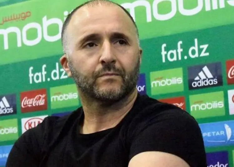 Belmadi en péril ? Coup dur pour l’Algérie dévoilé