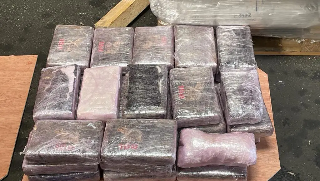 Saisie record de cocaïne en Algérie : plus de 100 kg en jeu