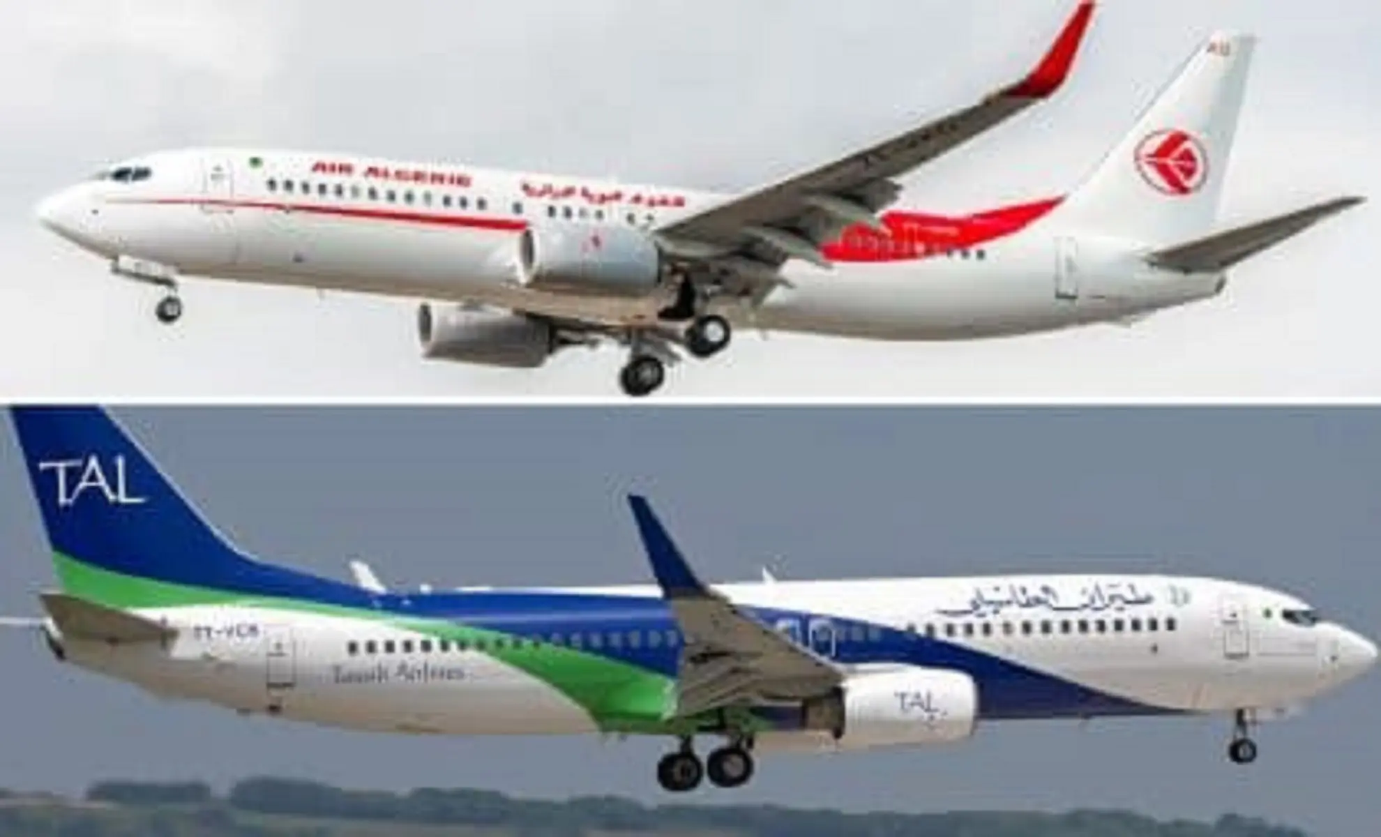 Fusion entre Air Algerie et Tassili Airlines