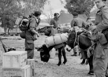 Révélations d’un soldat français sur la guerre d’Algérie