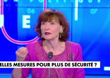Dérapage de Noëlle Lenoir sur CNews : des accusations choc visant les Algériens enflamment la toile