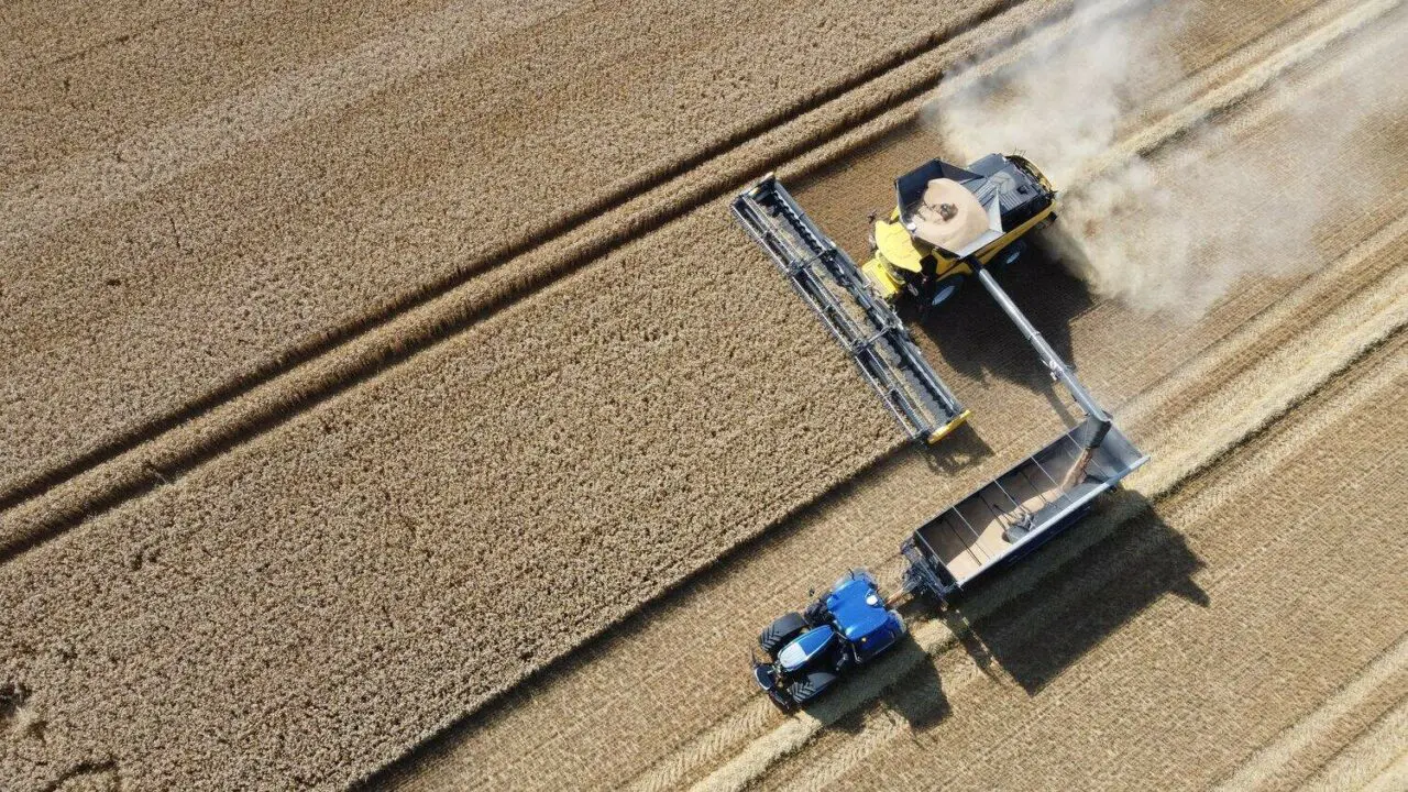 Récolte de céréales 2025 à Oran : un record historique avec plus de 53 000 quintaux récoltés