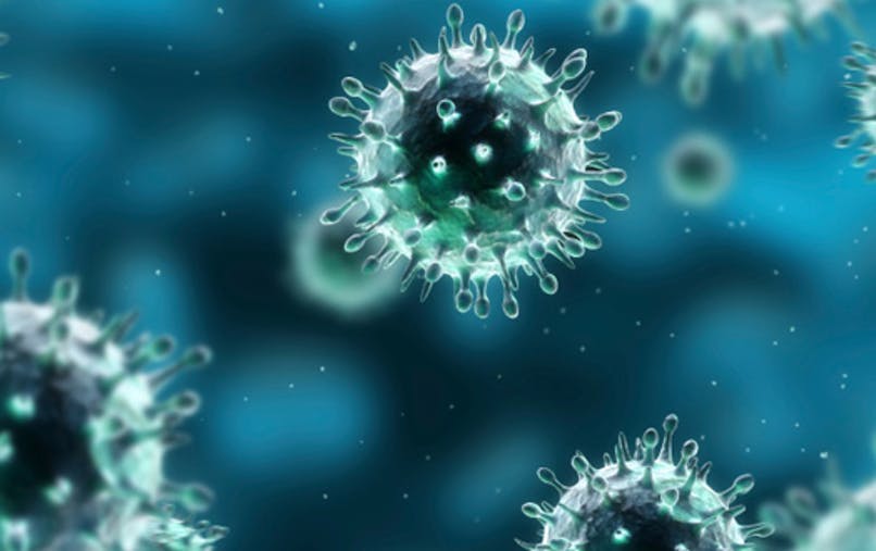 coronavirus