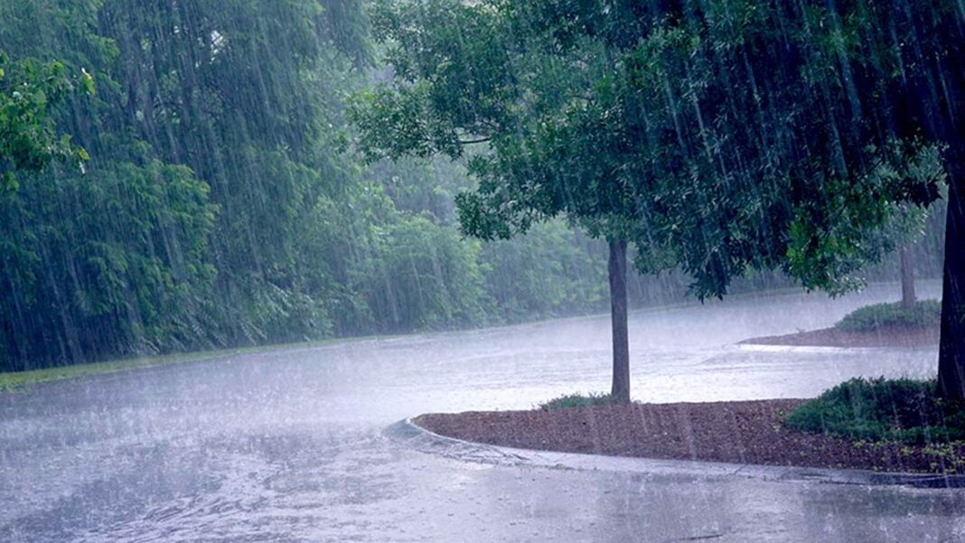 Météo: alerte pluies orageuses ce 8 septembre sur 8 wilayas de l’Algérie Arbres et pelouse sous une forte pluie dans un parc.