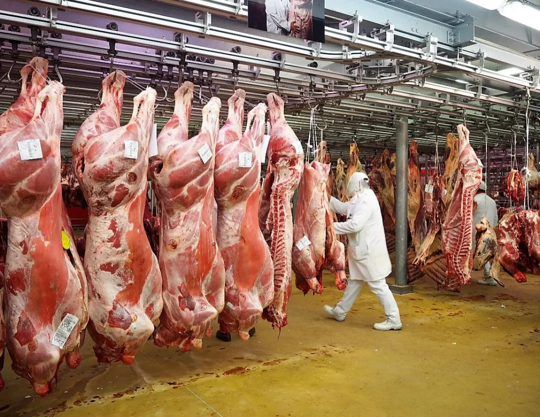 Algérie : le pays recense ses vaches Viande de bœuf suspendue dans une boucherie en Algérie.