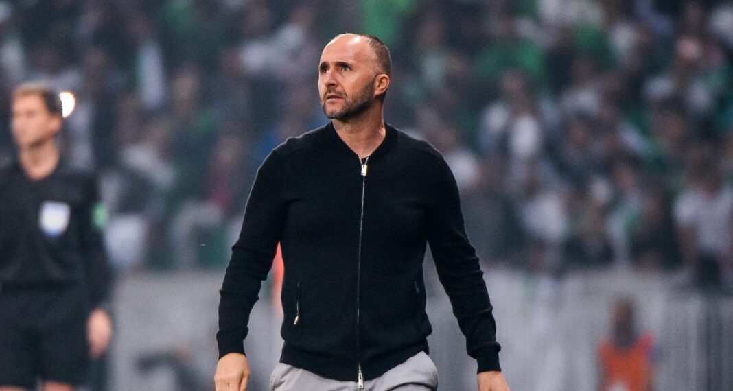 Officiel ! Djamel Belmadi restera jusqu’au Mondial 2026 Entraîneur de football sur le terrain lors d'un match.