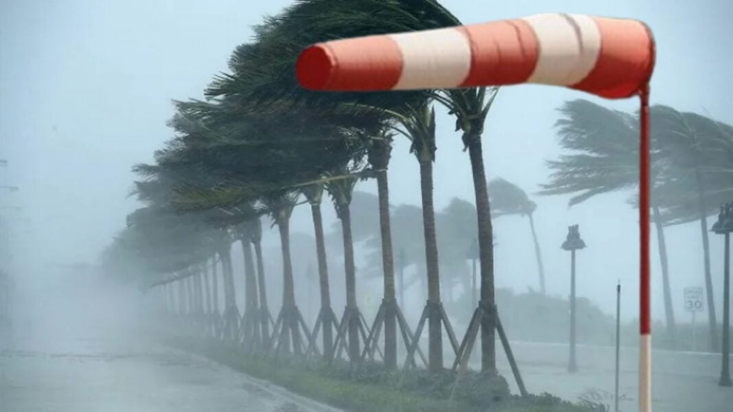 Météo : Vent fort à l’ouest et au sud de l’Algérie ce 24 mars Tempête avec vents forts et arbres inclinés à Maghrebactu.