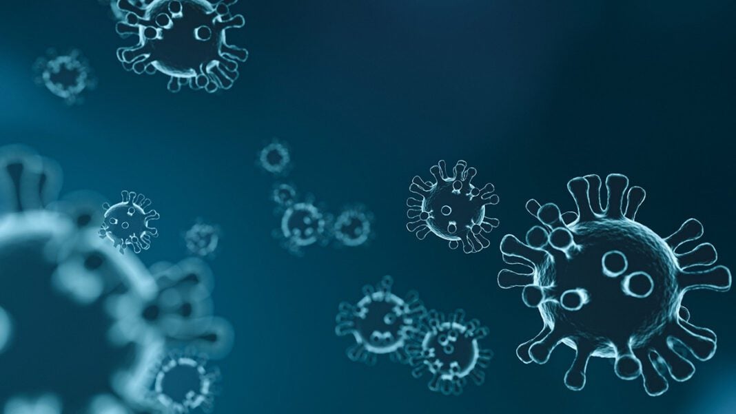 C’est la raison de l’augmentation des infections corona à nouveau… Représentation 3D du virus COVID-19 avec protéines en forme de couronne.