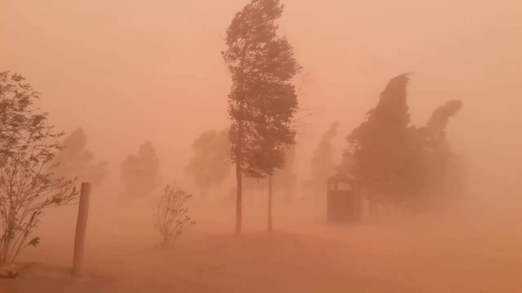 Météo Algérie : l’ONM place quatre wilayas en « vigilance jaune » ce 8 décembre Tempête de poussière avec arbres et paysage flous.