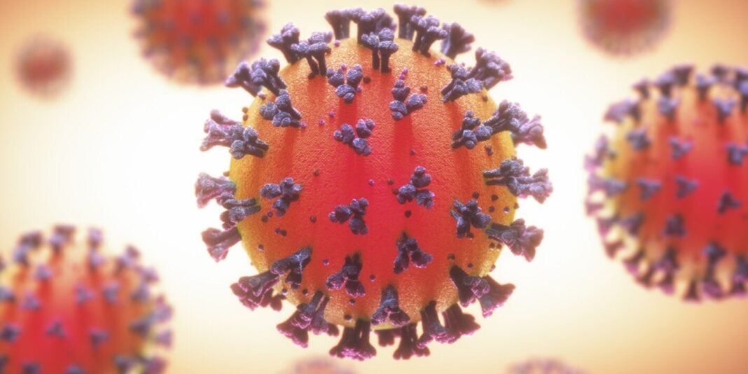 Covid 19: l’Algérie recense 17 nouveaux cas Représentation 3D du virus COVID-19 avec protéines spike.