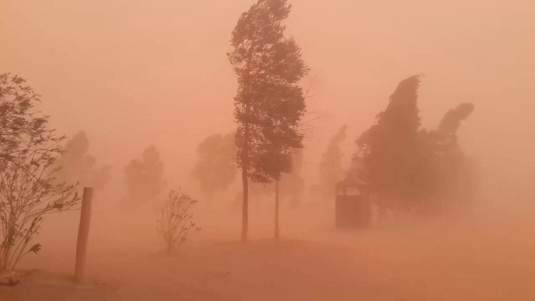 Météo Algérie : Voici la liste des régions qui connaitront des vents forts ce vendredi 25 mars Tempête de poussière dans un paysage rural avec arbres et chemin.