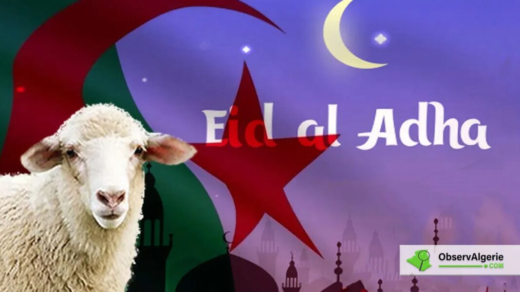 Selon l’association d’astronomie émiratie, l’Aïd El-Adha sera célébré le… Mouton de l'Aïd El-Adha avec drapeau algérien en arrière-plan.