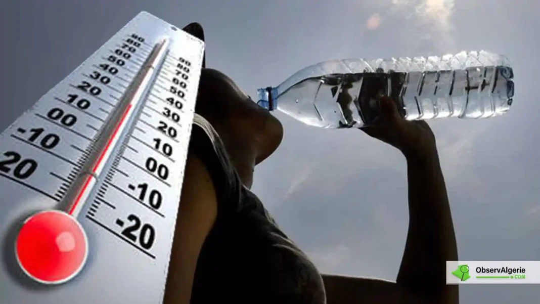 Météo : grosse vague de chaleur dans certaines régions de l’Algérie ce lundi 16 mai Personne buvant de l'eau sous un thermomètre chaud en plein soleil.