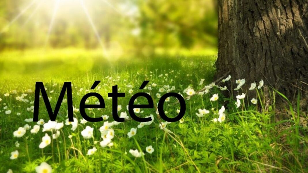 Météo Algérie : Voici les prévisions de ce vendredi 13 mai 2022 Image représentant la météo en Algérie avec un arbre et des fleurs au soleil.