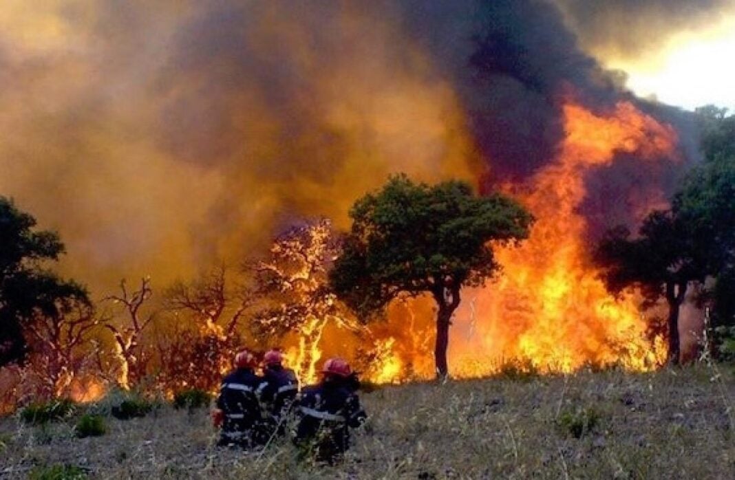 Algérie : Découvrez le nouveaux bilan des feux de forêts (Vidéo) Feux de forêt en Algérie avec pompiers en intervention.