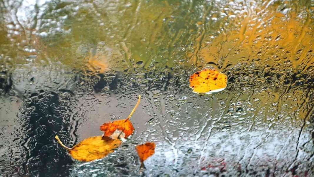 Météo : la pluie marque son retour dans 13 régions de l’Algérie ce 8 juin Fenêtre embuée avec feuilles mortes et pluie en arrière-plan.