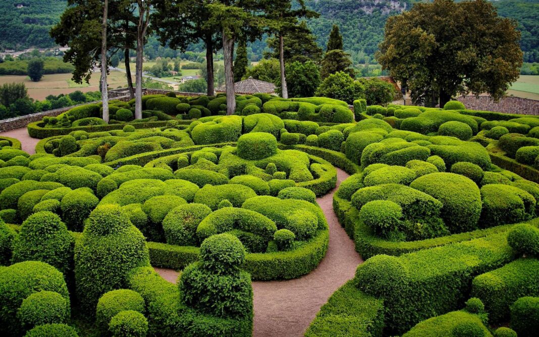 A Alger, une décharge transformée en jardin Jardin avec topiaires vertes et arbres en arrière-plan.