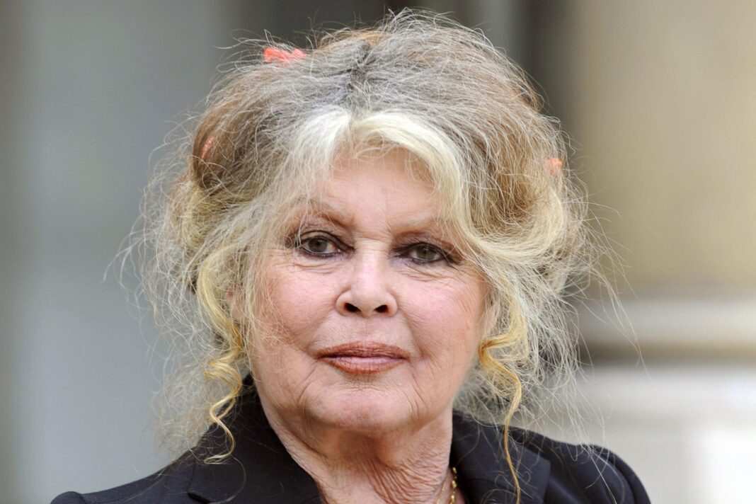 Brigitte Bardot sur l’Aïd al-Adha : « Des milliers de moutons seront égorgés de façon barbare au nom d’Allah » Brigitte Bardot, femme âgée avec cheveux gris, expression sérieuse.
