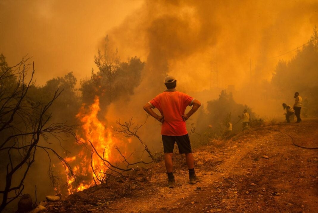 feux de forêt: Plusieurs wilayas du nord de l’Algérie en proie aux flammes Feux de forêt au Maroc, lutte contre l'incendie, catastrophe naturelle.