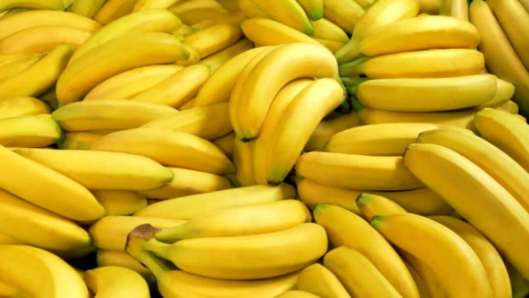 Hausse du prix de la banane, les raisons Bananes jaunes fraîches en gros lot dans un marché.