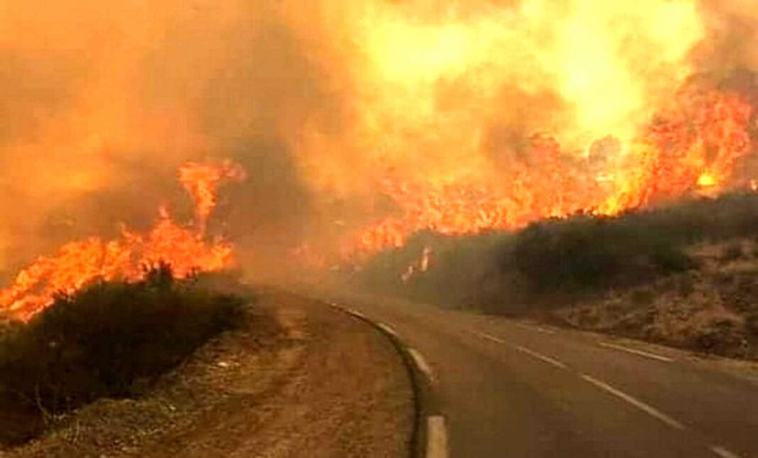 Feux de forêt : l’Algérie enregistre un nouveau décès d’un bénévole à Mostaganem Feu de forêt en Algérie avec des flammes et de la fumée dense.
