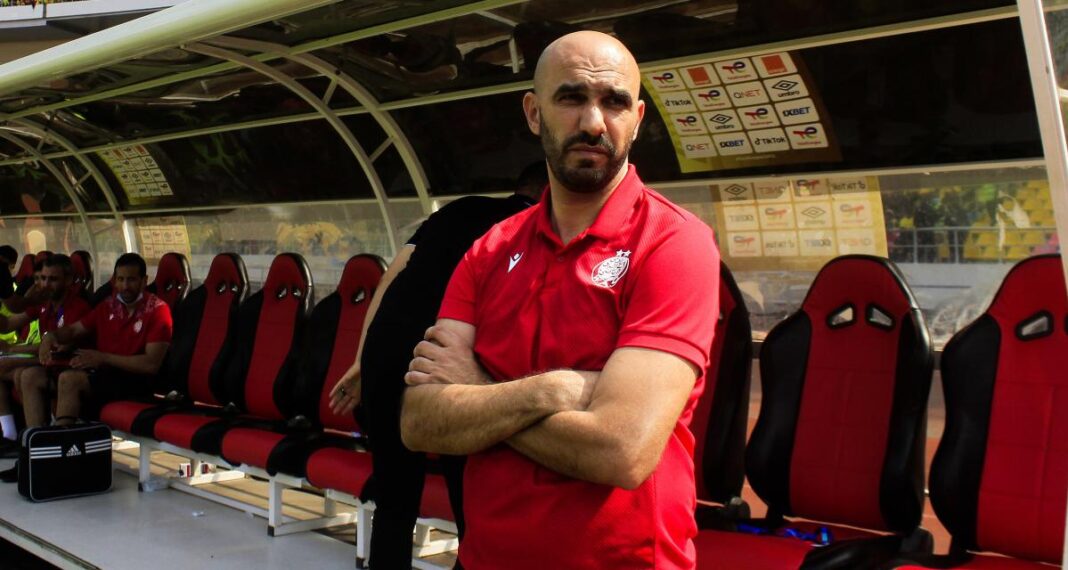 Walid Regragui, entraîneur du Maroc, sur le banc de touche.