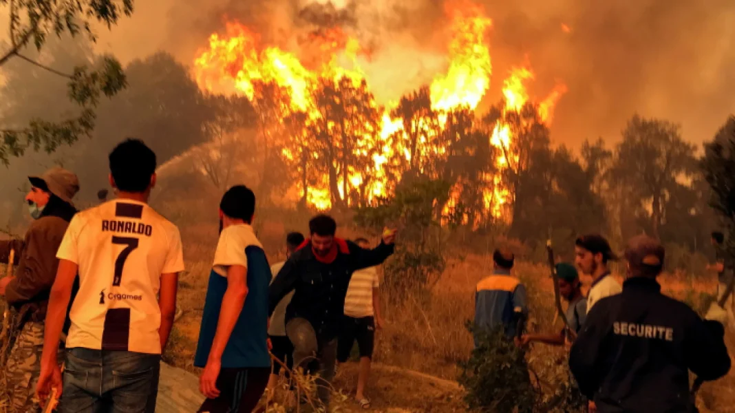 Le directeur forestier dévoile un nouveau dossier d’indemnisation des sinistrés Personnes évacuant lors d'un incendie de forêt au Maghreb.
